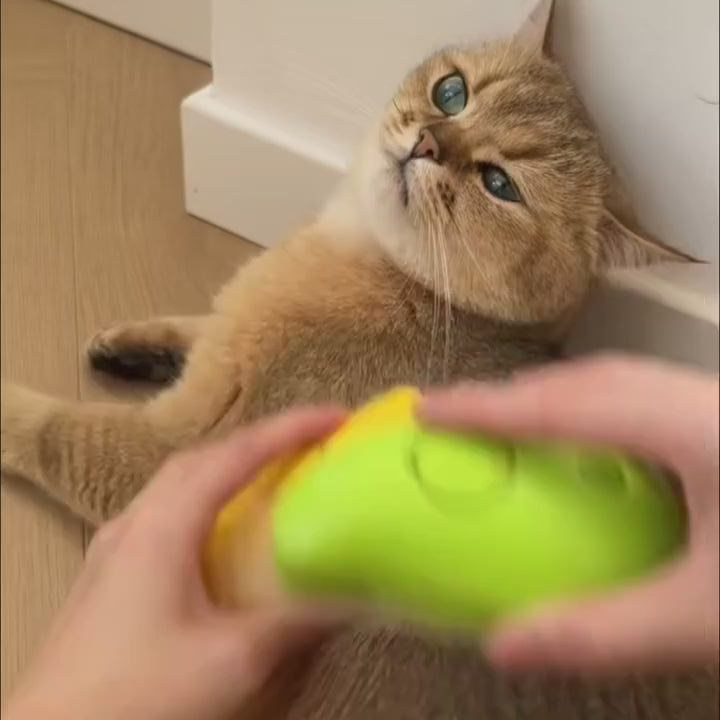 Steam brush for pets
