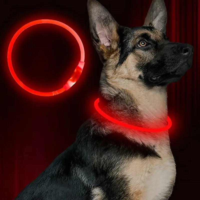 Led Usb Dog Collar - 