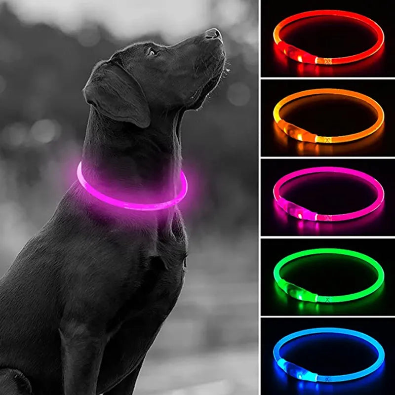 Led Usb Dog Collar - 